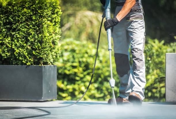 Best Vinyl Siding Pressure Washing in Homer, GA