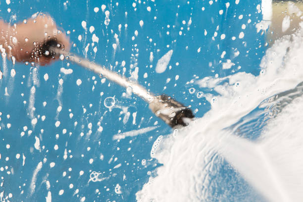 Best Roof Cleaning and Mildew Removal in Homer, GA