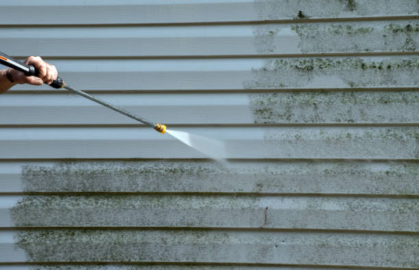 Best Residential Pressure Washing in Homer, GA